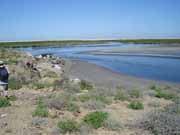 Entrance to the mangroves